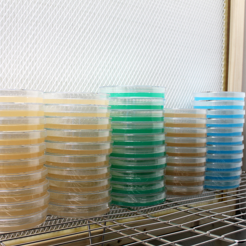 Cultures & Lab Supplies