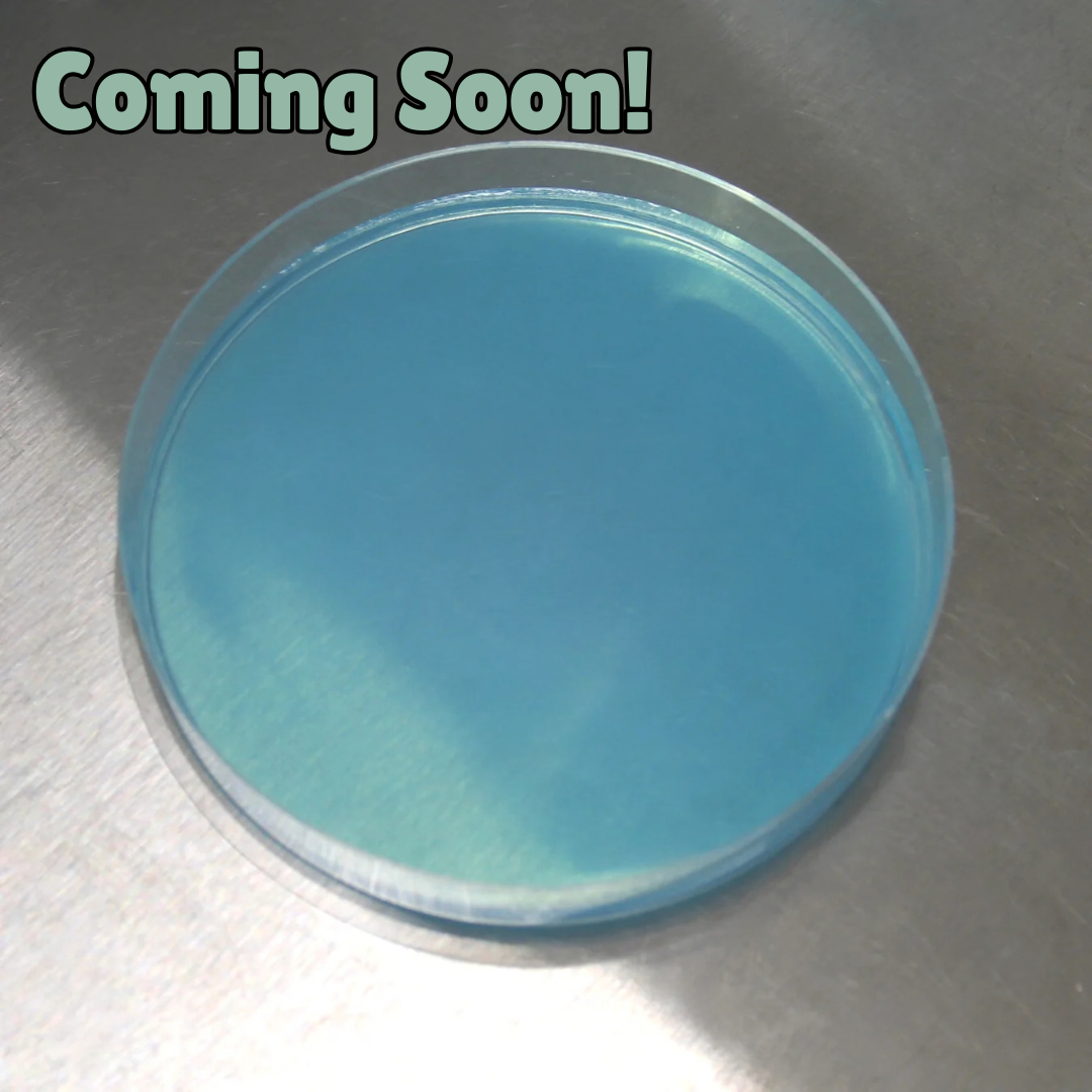 Water Agar Petri Dishes (10pk)