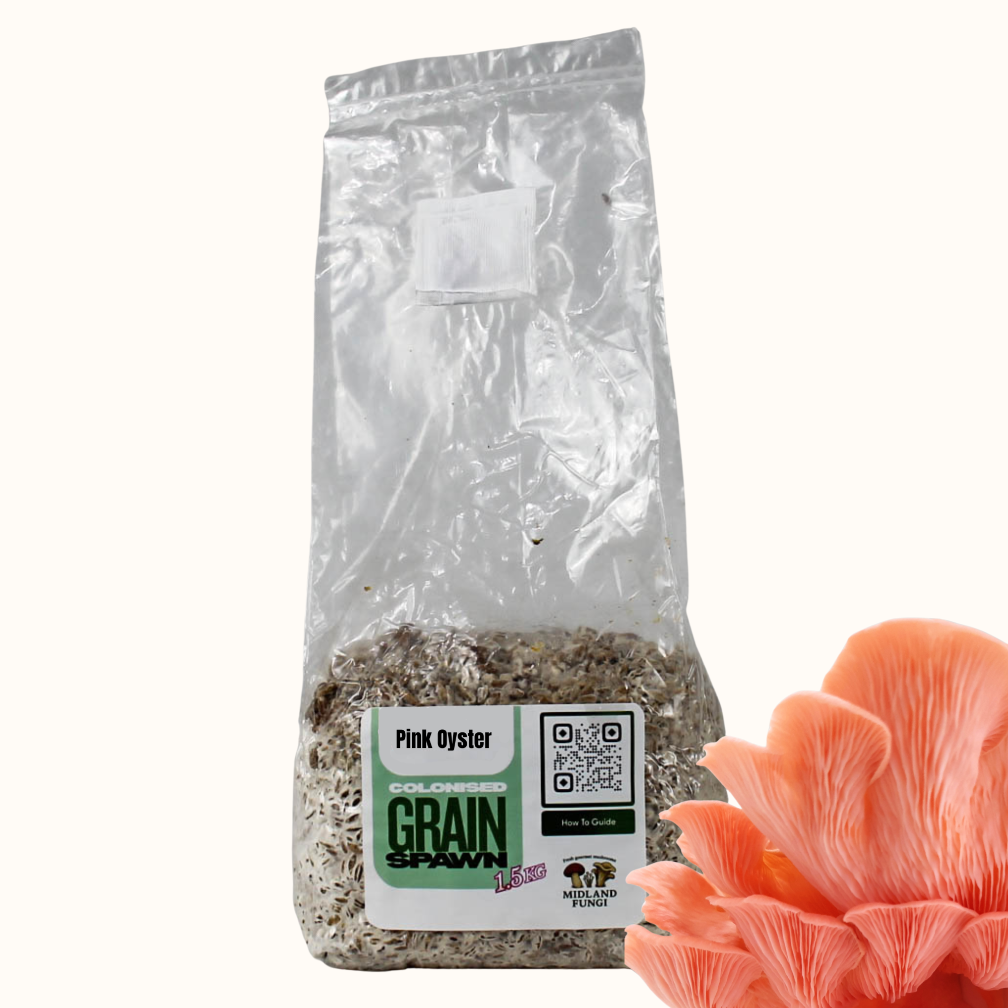 Pink Oyster Grain Spawn 1.5kg