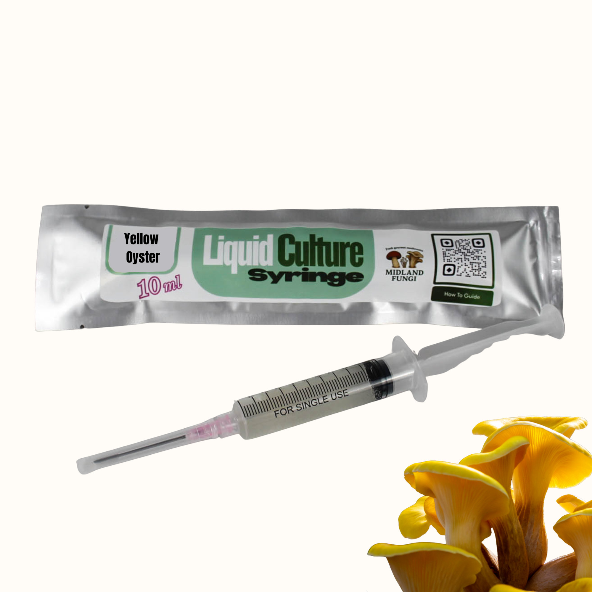Yellow Oyster Liquid Culture Syringe 10ml