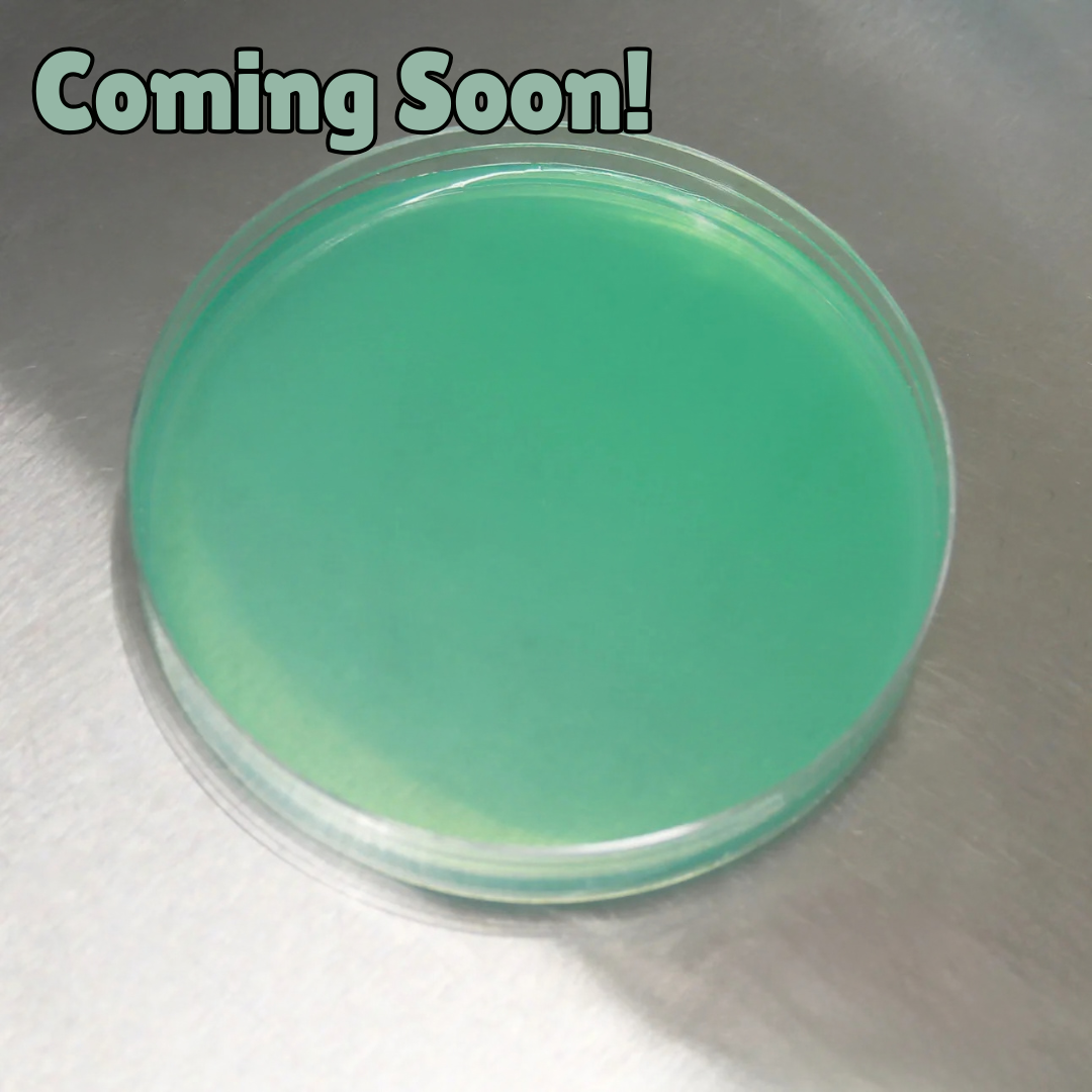 Potato Dextrose Agar (PDA) Petri Dishes (10pk)