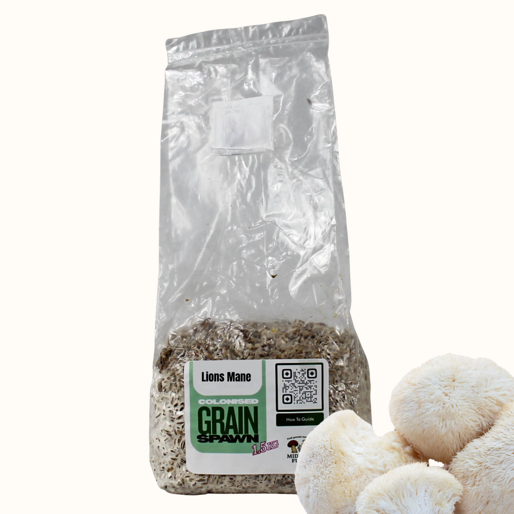 Lions Mane Grain Spawn 1.5kg