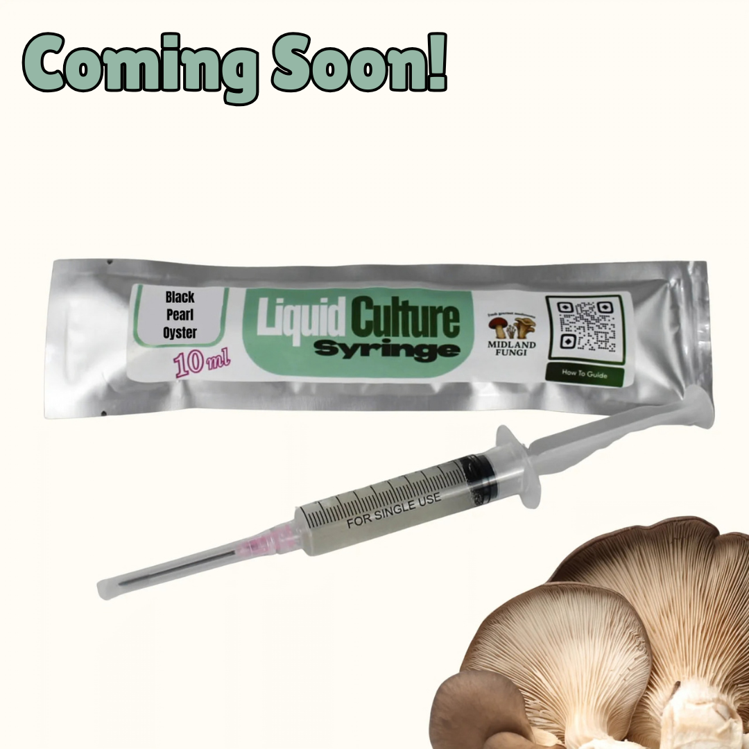 Black Pearl Liquid Culture Syringe 10ml