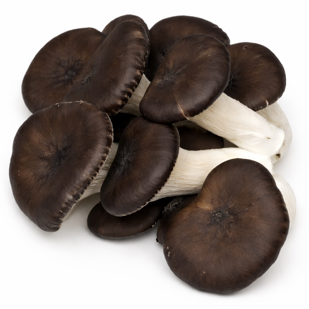 Black Pearl Oyster Mushrooms