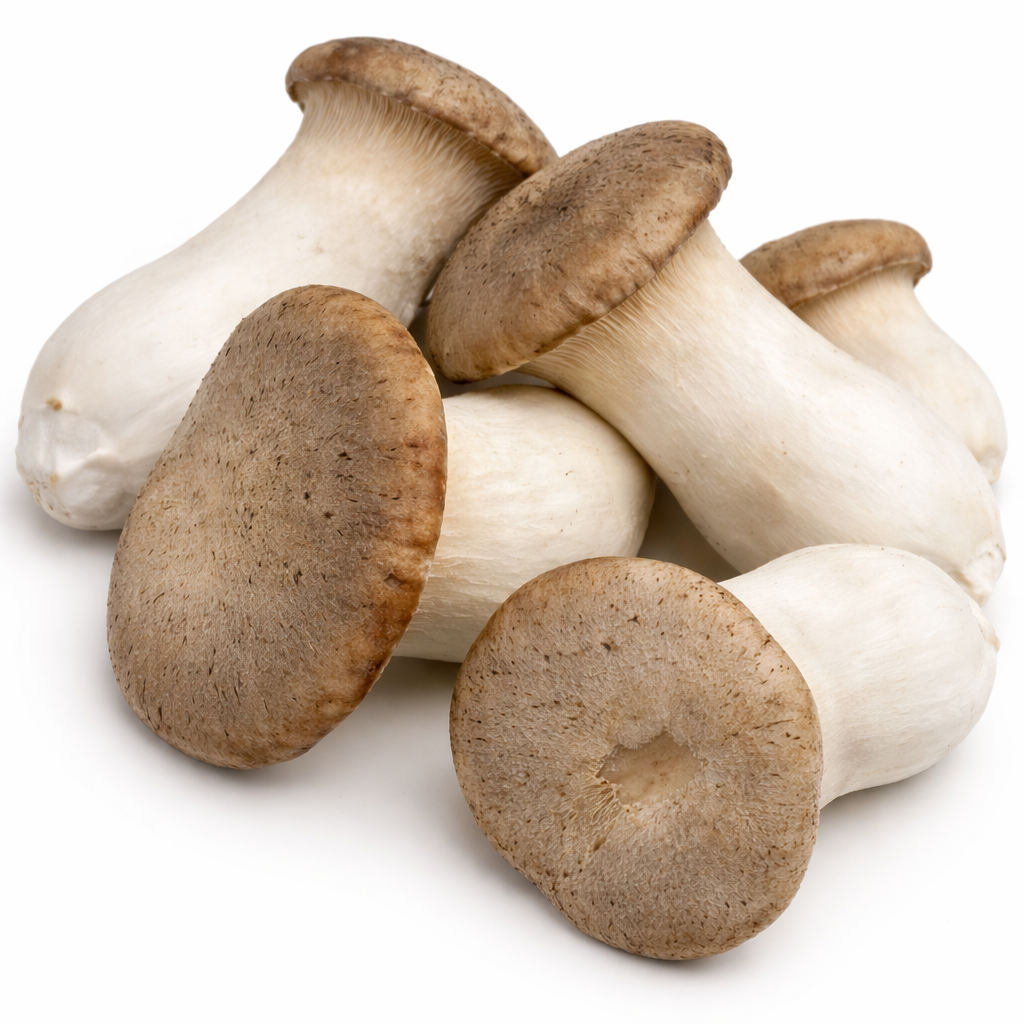 King ‘Trumpet’ Oyster Mushrooms