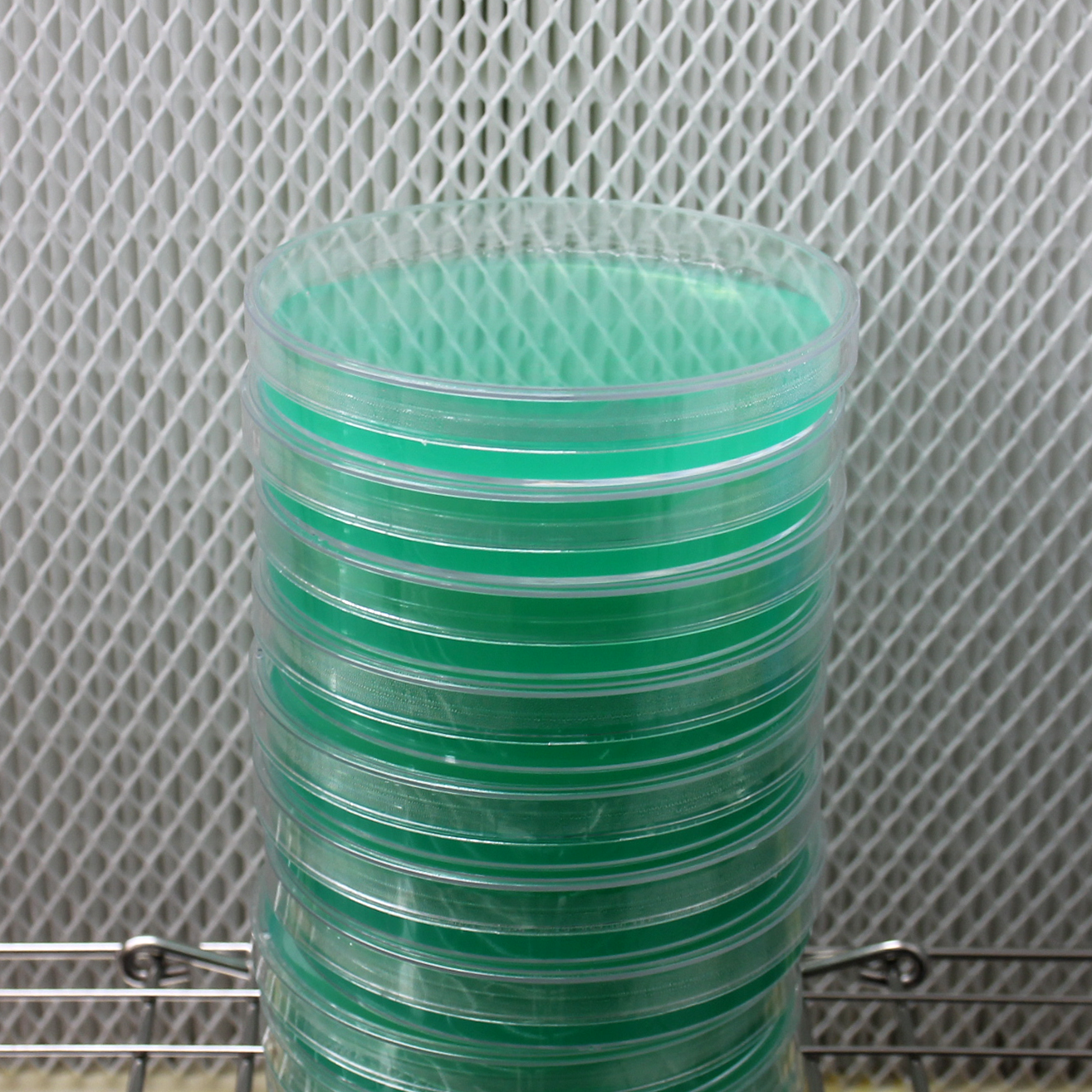 Potato Dextrose Agar (PDA) Petri Dishes (10pk)