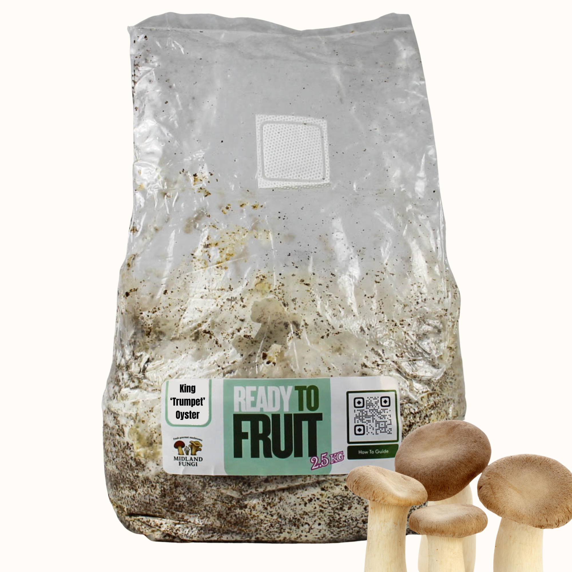 King ‘Trumpet’ Oyster Colonised Masters Mix 3kg (READY TO FRUIT)