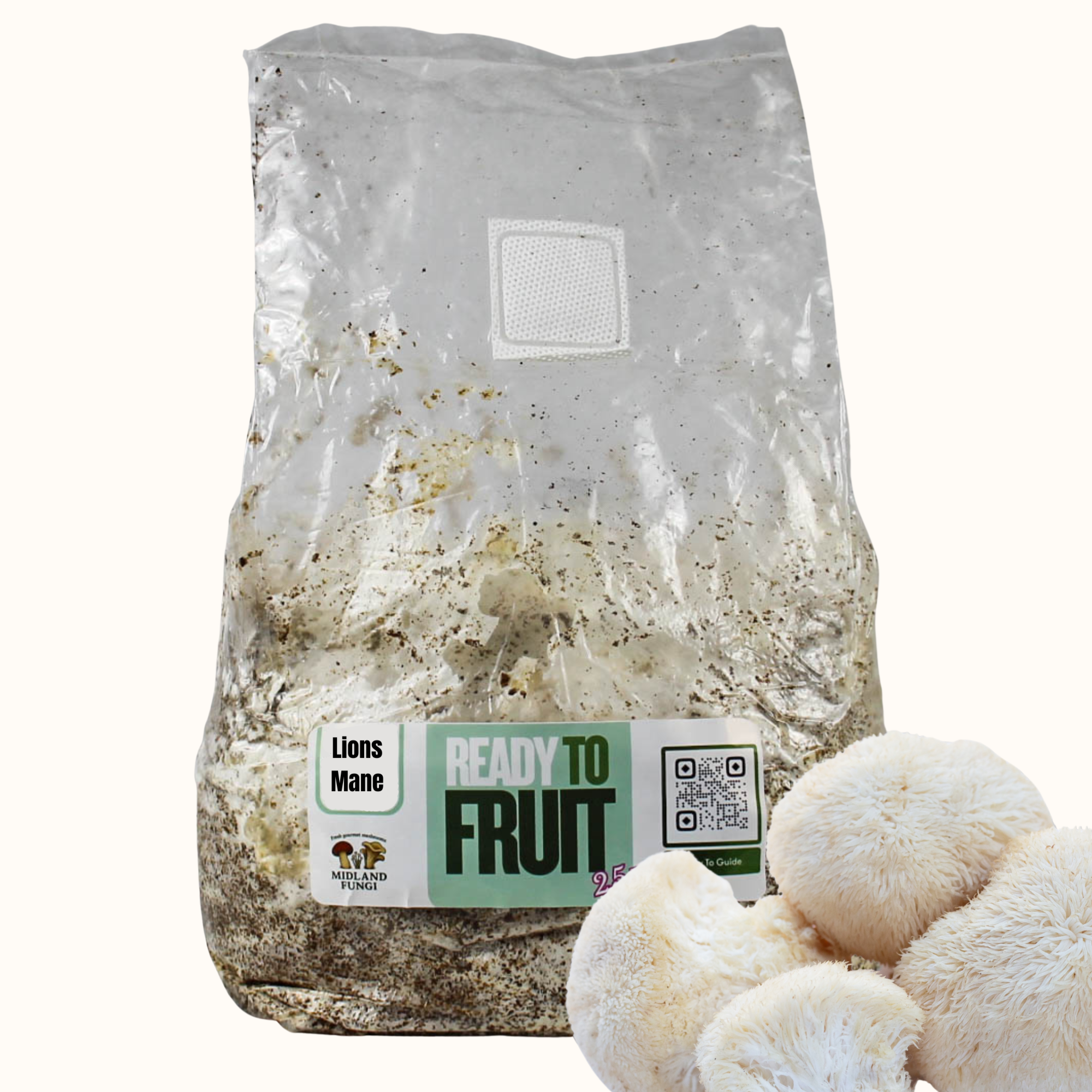 Lions Mane Colonised Masters Mix 3kg (READY TO FRUIT)