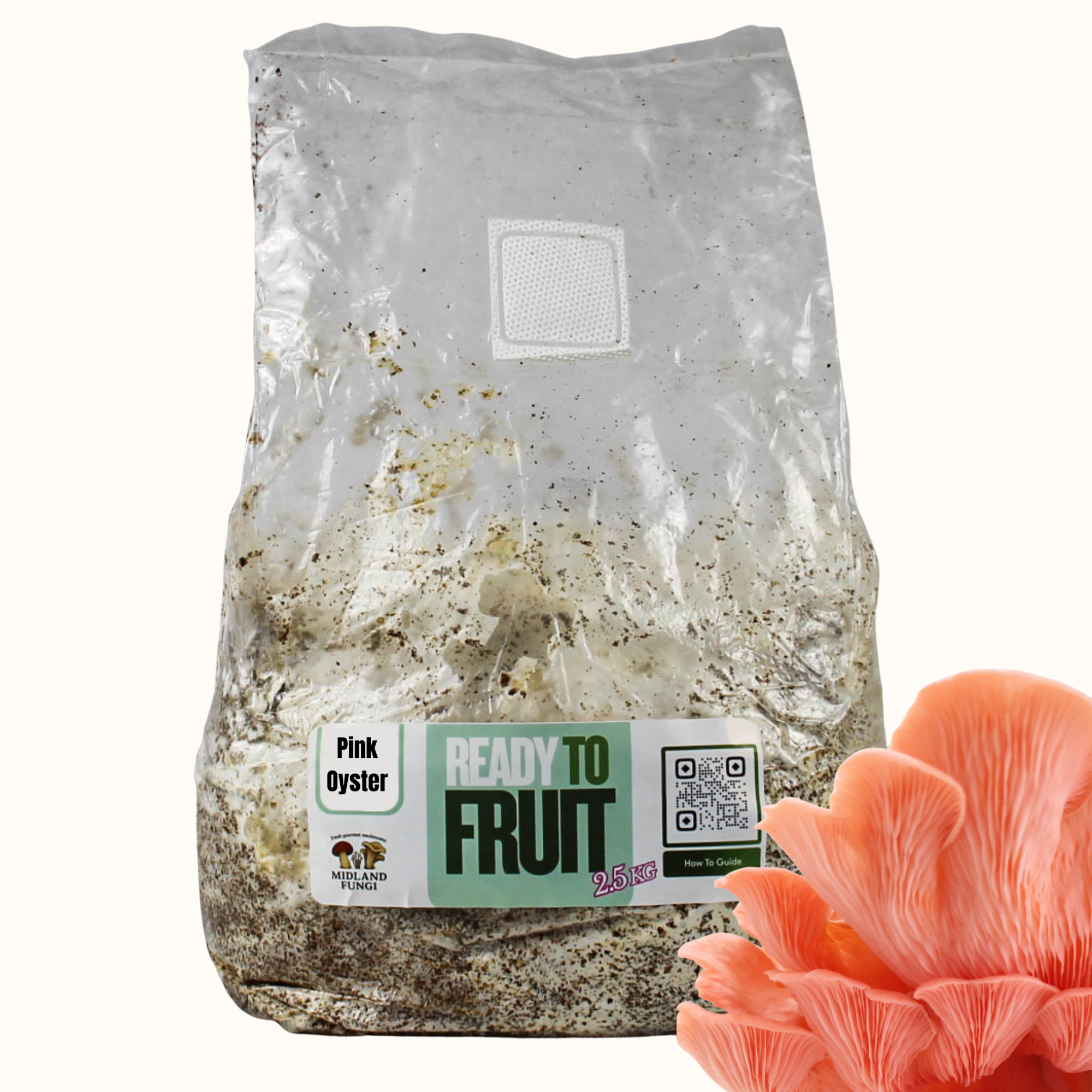 Pink Oyster Colonised Masters Mix 3kg (READY TO FRUIT)