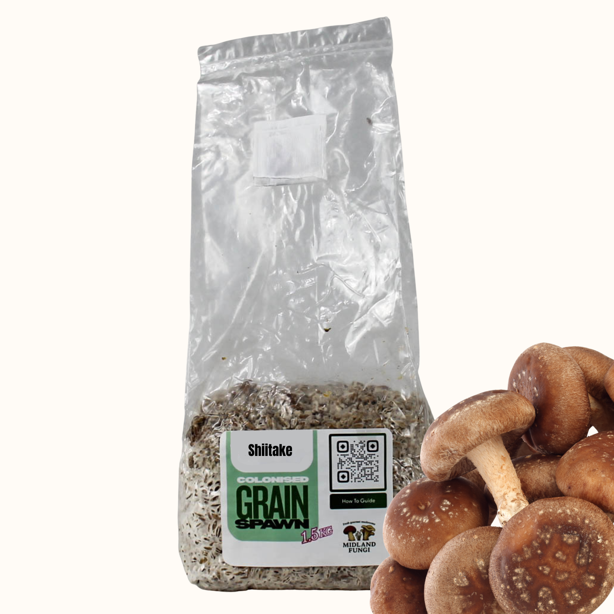 Shiitake Grain Spawn 1.5kg