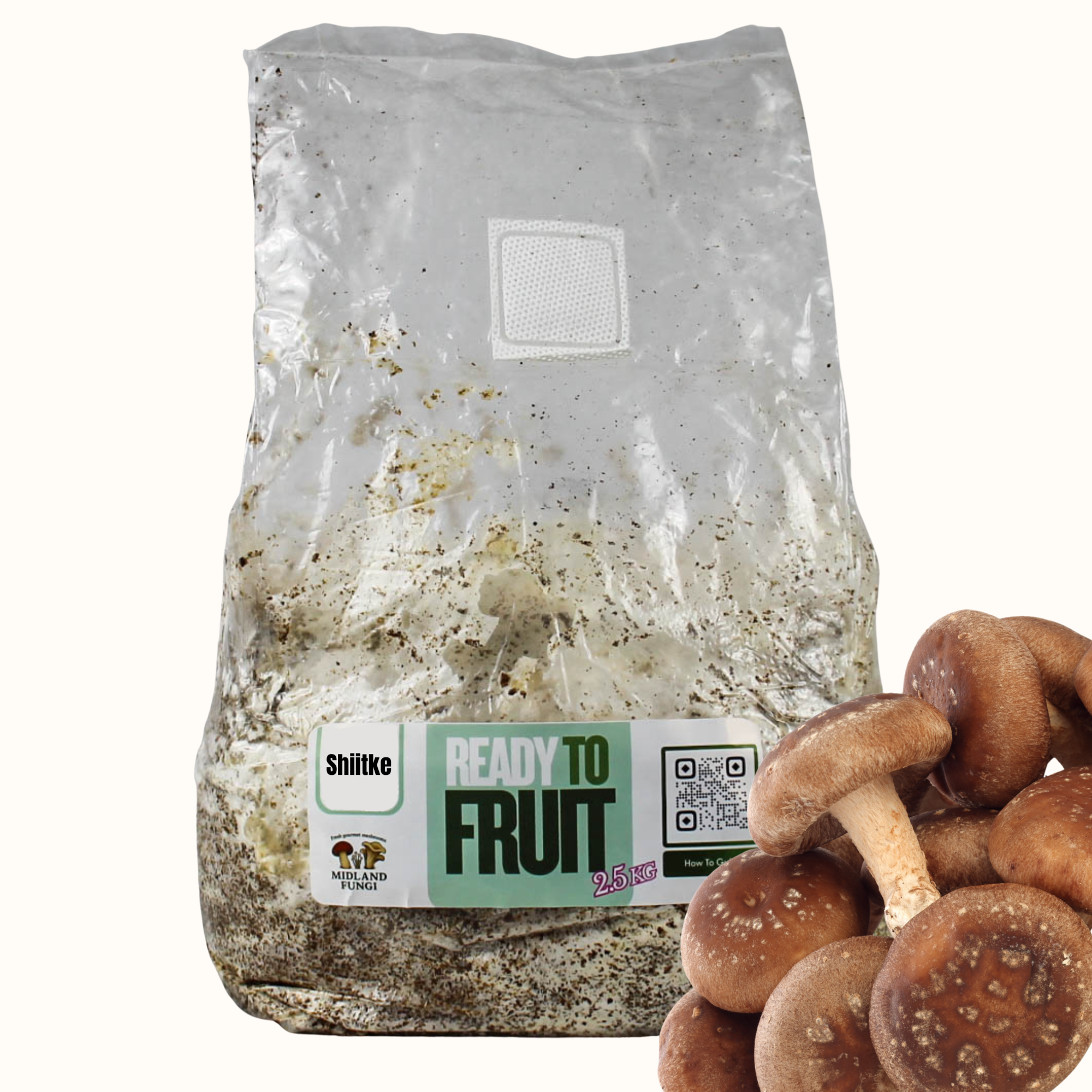 Shiitake Colonised Hardwood 3kg (READY TO FRUIT)